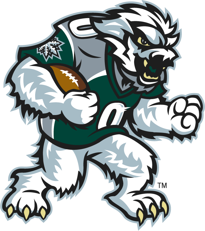 Green Bay Blizzard 2010-2014 Mascot Logo t shirt iron on transfers